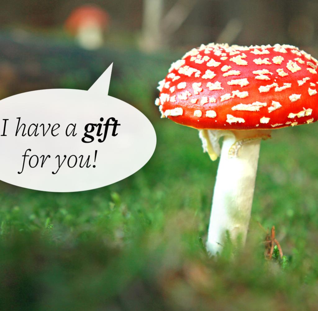 DWO-Sprachpannen-cw-jpg